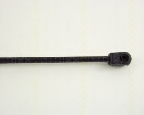Amortizor capota 3