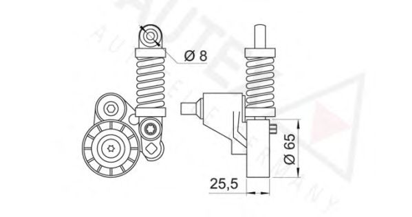 Intinzator curea, curea distributie 2