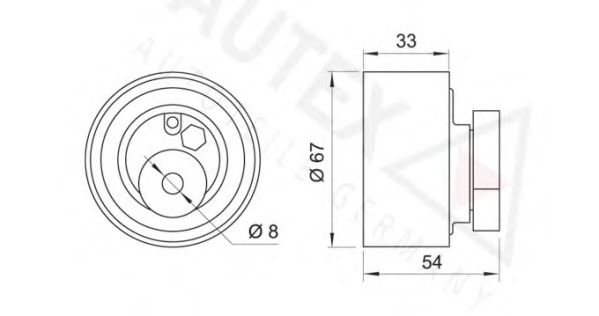 rola intinzator,curea distributie 2