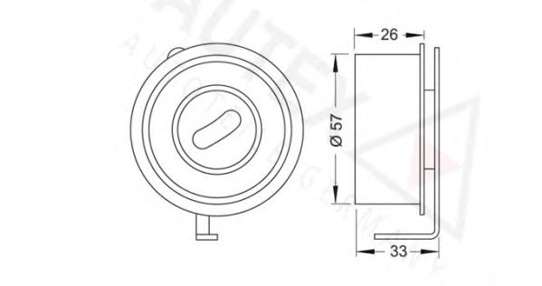 rola intinzator,curea distributie 2