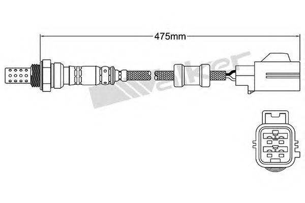 250-24455 Sonda Lambda WALKER PRODUCTS 