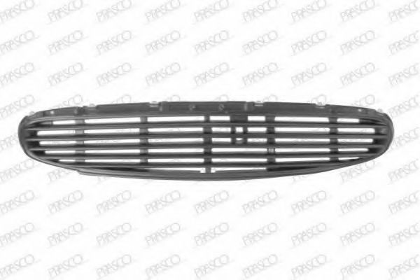 Grila radiator 2