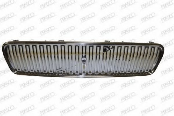 Grila radiator 2