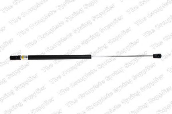 GS0527 Amortizor capota ROC 