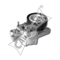 Intinzator curea, curea distributie