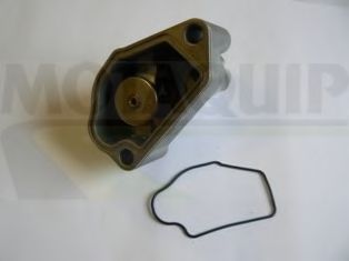termostat,lichid racire 2