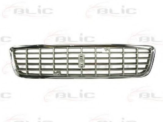 6502-07-9009991P Grila radiator BLIC 