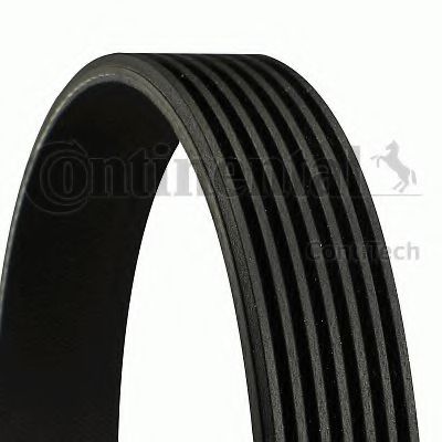 7PK1647 Curea transmisie cu caneluri CONTITECH 