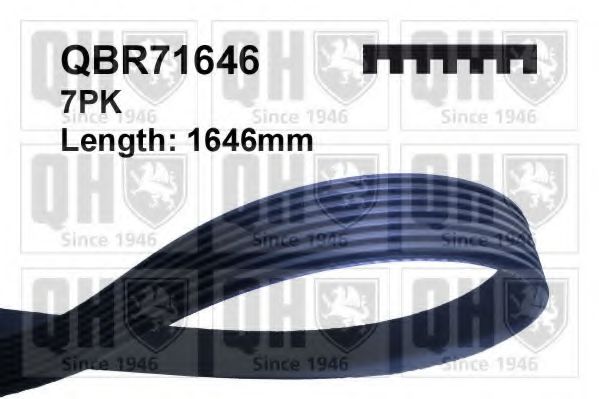 QBR71646 Curea transmisie cu caneluri QUINTON HAZELL 
