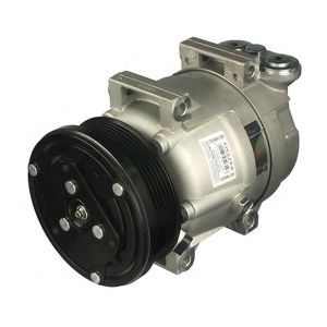 CS10096 Compresor, climatizare DELPHI 