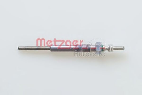 H1 369 Bujie incandescenta METZGER 