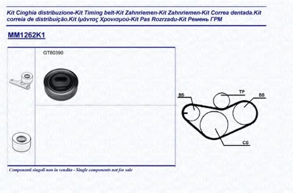 341312621101 Set curea de distributie MAGNETI MARELLI 