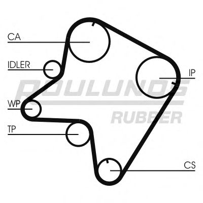 Curea de distributie 11
