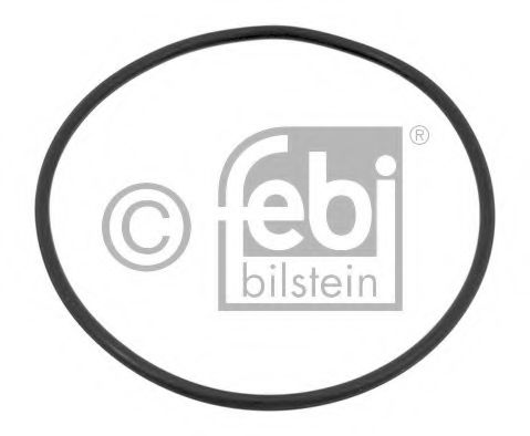 04734 Garnitura, pompa de apa FEBI BILSTEIN 