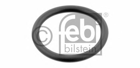 29752 Inel etansare, furtun lichid racire FEBI BILSTEIN 