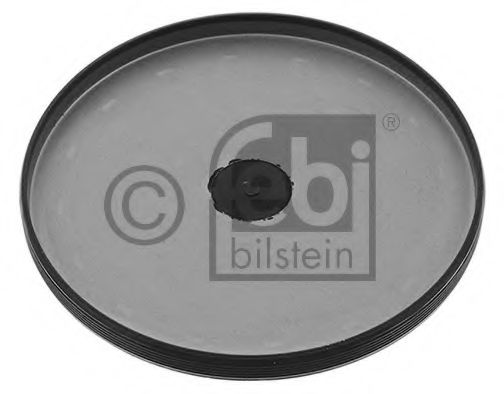 47166 Etansare ulei, transmisie manuala FEBI BILSTEIN 