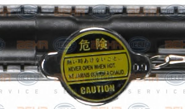 Radiator, racire motor 10
