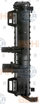 Radiator, racire motor 3