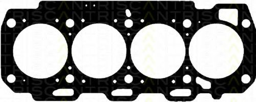 501-2562 Garnitura, chiulasa TRISCAN 
