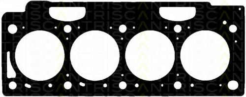 501-4250 Garnitura, chiulasa TRISCAN 