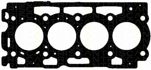 501-5595 Garnitura, chiulasa TRISCAN 
