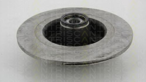 Disc frana 2