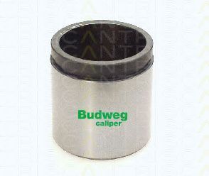 8170 234855 Piston, etrier frana TRISCAN 