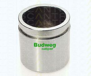 8170 234860 Piston, etrier frana TRISCAN 