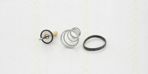 termostat,lichid racire