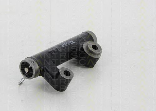 8641 103038 Amortizor vibratii, curea distributie TRISCAN 