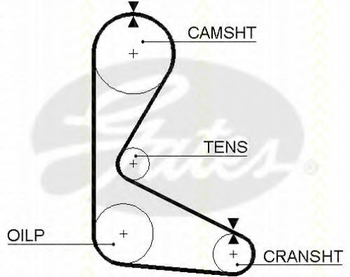 Curea de distributie 2
