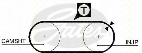Curea de distributie 2