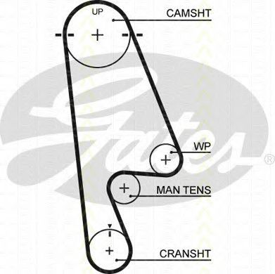 Set curea de distributie 2