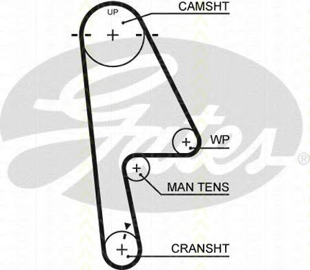 Set curea de distributie 2