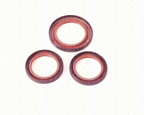 8648 10008 Simering, ax cu came TRISCAN 