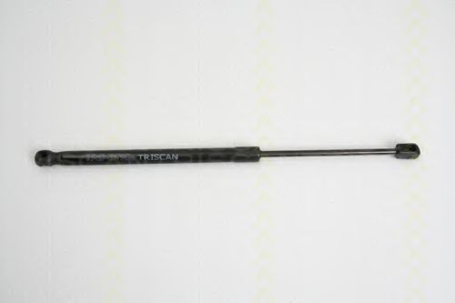 8710 10207 Amortizor portbagaj TRISCAN 