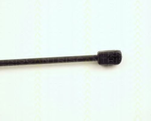 Amortizor portbagaj 3