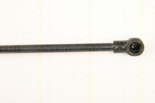 Amortizor portbagaj 3