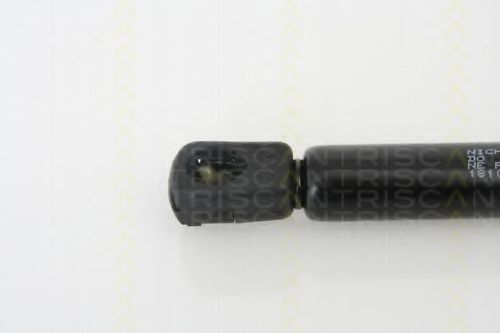 Amortizor capota 2