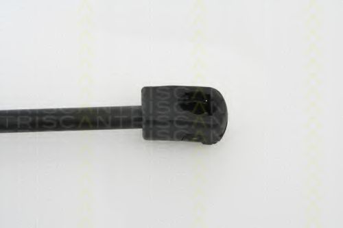 Amortizor capota 3