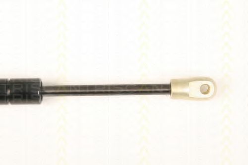 Amortizor portbagaj 3