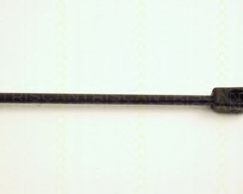 Amortizor portbagaj 3