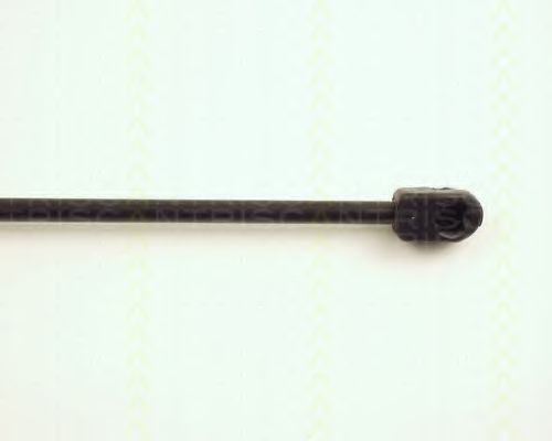 Amortizor portbagaj 3