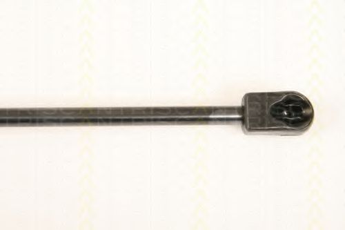 Amortizor portbagaj 3