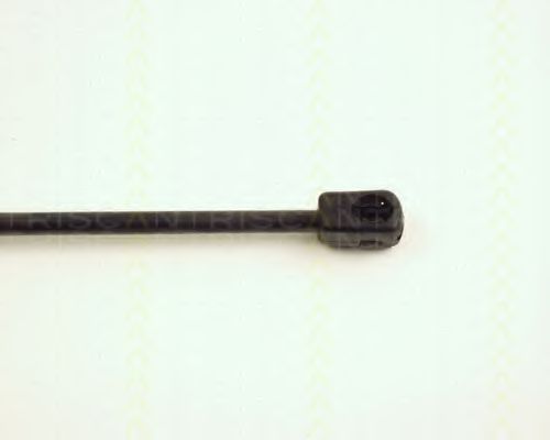 Amortizor portbagaj 3