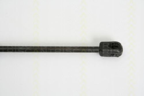 Amortizor portbagaj 3