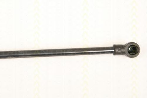 Amortizor portbagaj 3
