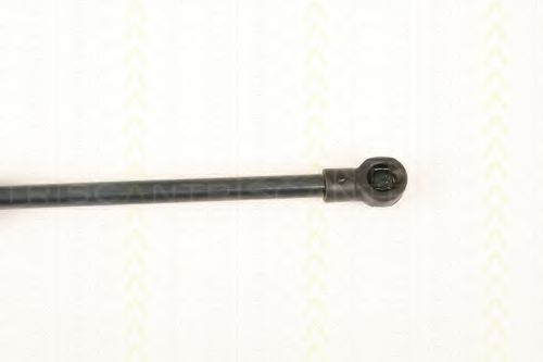 Amortizor portbagaj 3