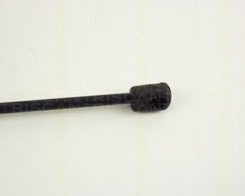 Amortizor portbagaj 3