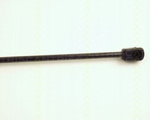 Amortizor portbagaj 3